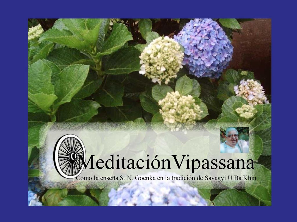 Meditación Vipassana Meditación Vipassana Como la enseña S. N. Goenka en la tradición de Sayagyi U Ba Khin.