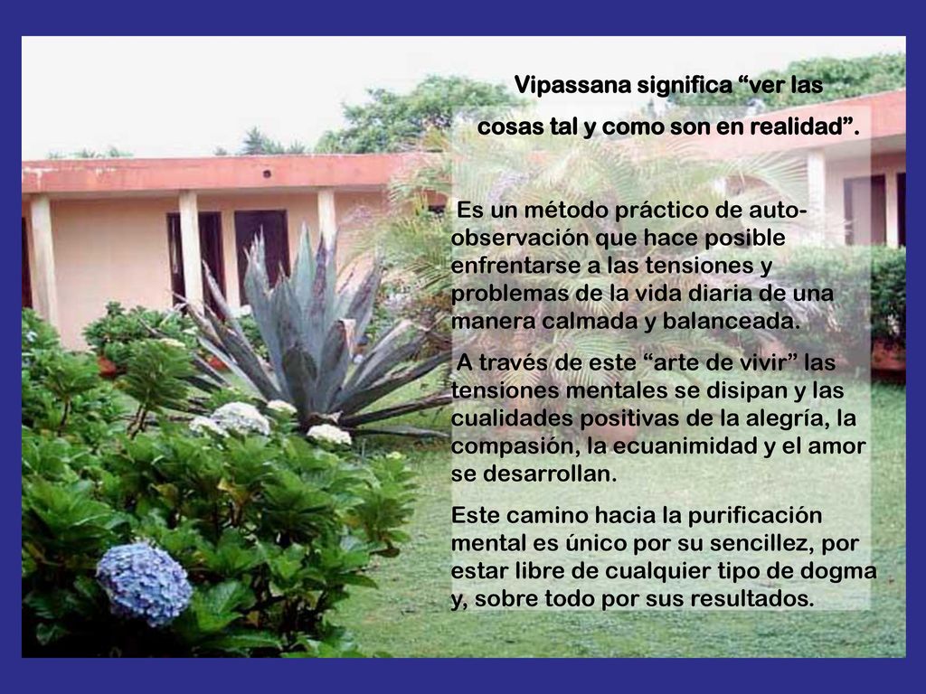 Vipassana significa ver las cosas tal y como son en realidad .