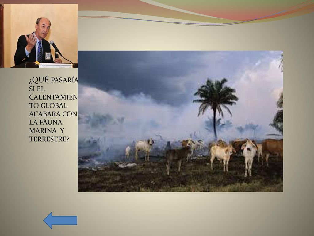 ¿QUÉ PASARÍA SI EL CALENTAMIENTO GLOBAL ACABARA CON LA FÁUNA MARINA Y TERRESTRE