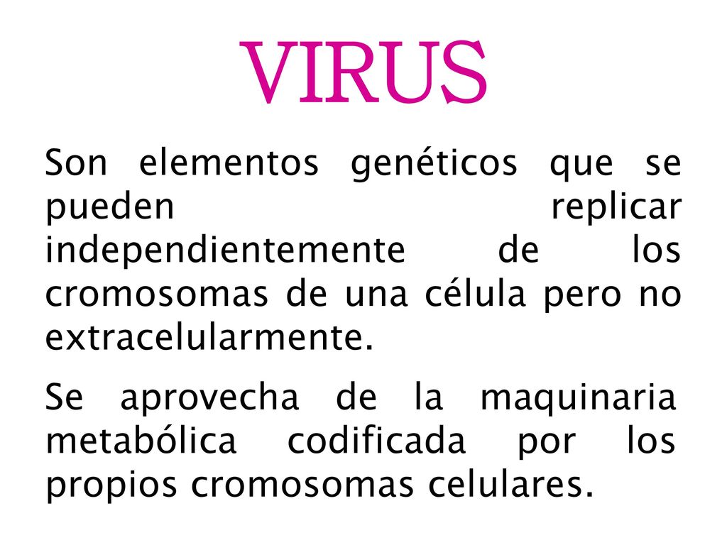 VIRUS Son elementos genéticos que se pueden replicar independientemente de los cromosomas de una célula pero no extracelularmente.