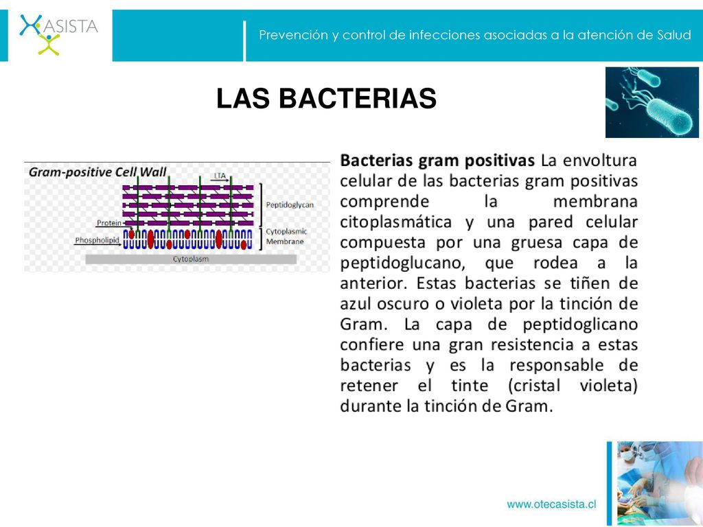 Prevención y control de infecciones asociadas a la atención de Salud