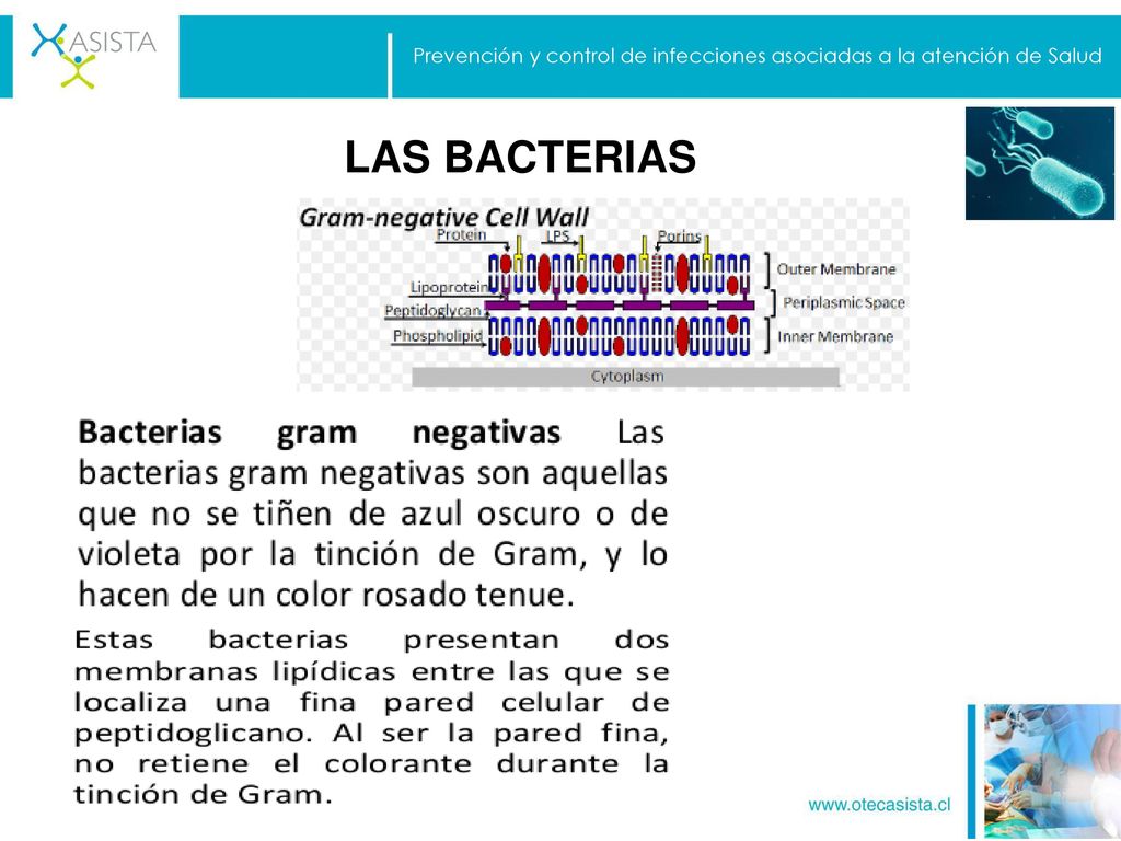 Prevención y control de infecciones asociadas a la atención de Salud