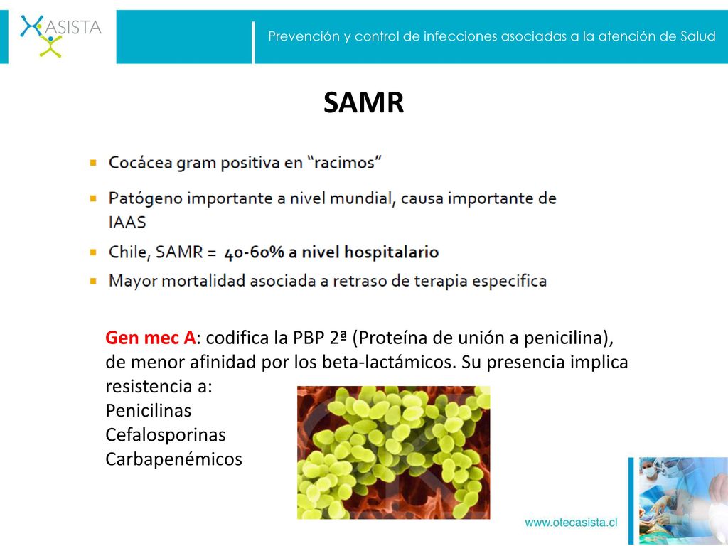 Prevención y control de infecciones asociadas a la atención de Salud