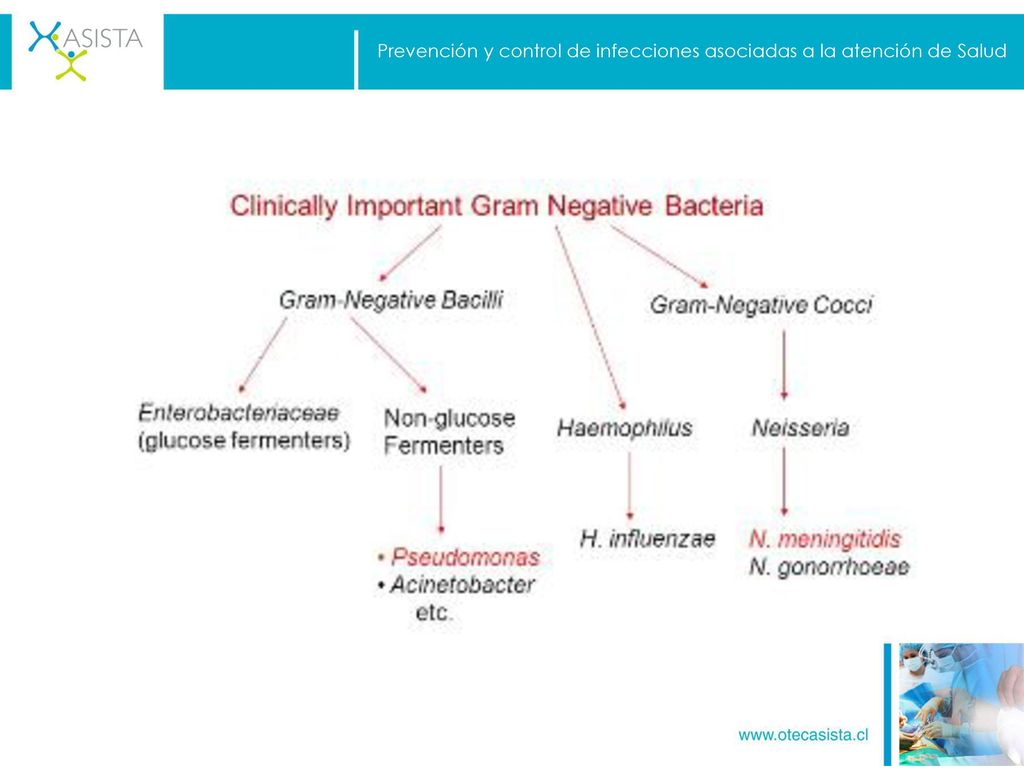 Prevención y control de infecciones asociadas a la atención de Salud