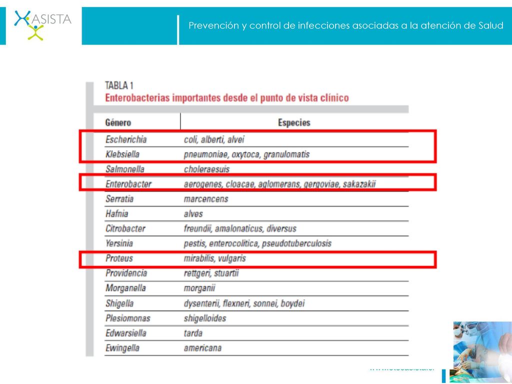 Prevención y control de infecciones asociadas a la atención de Salud