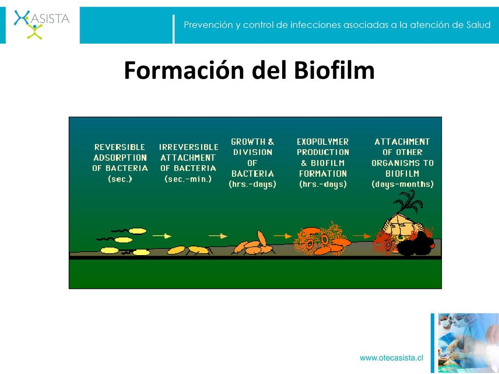 Prevención y control de infecciones asociadas a la atención de Salud