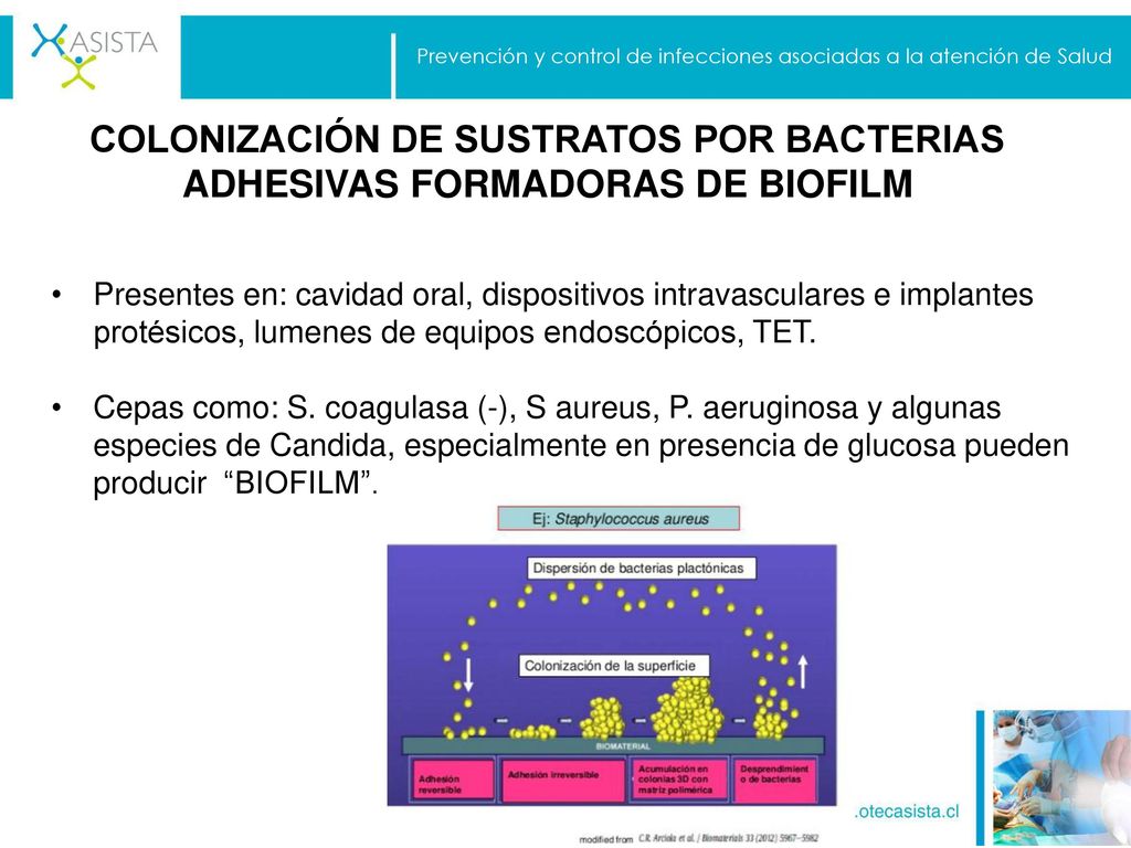 Prevención y control de infecciones asociadas a la atención de Salud
