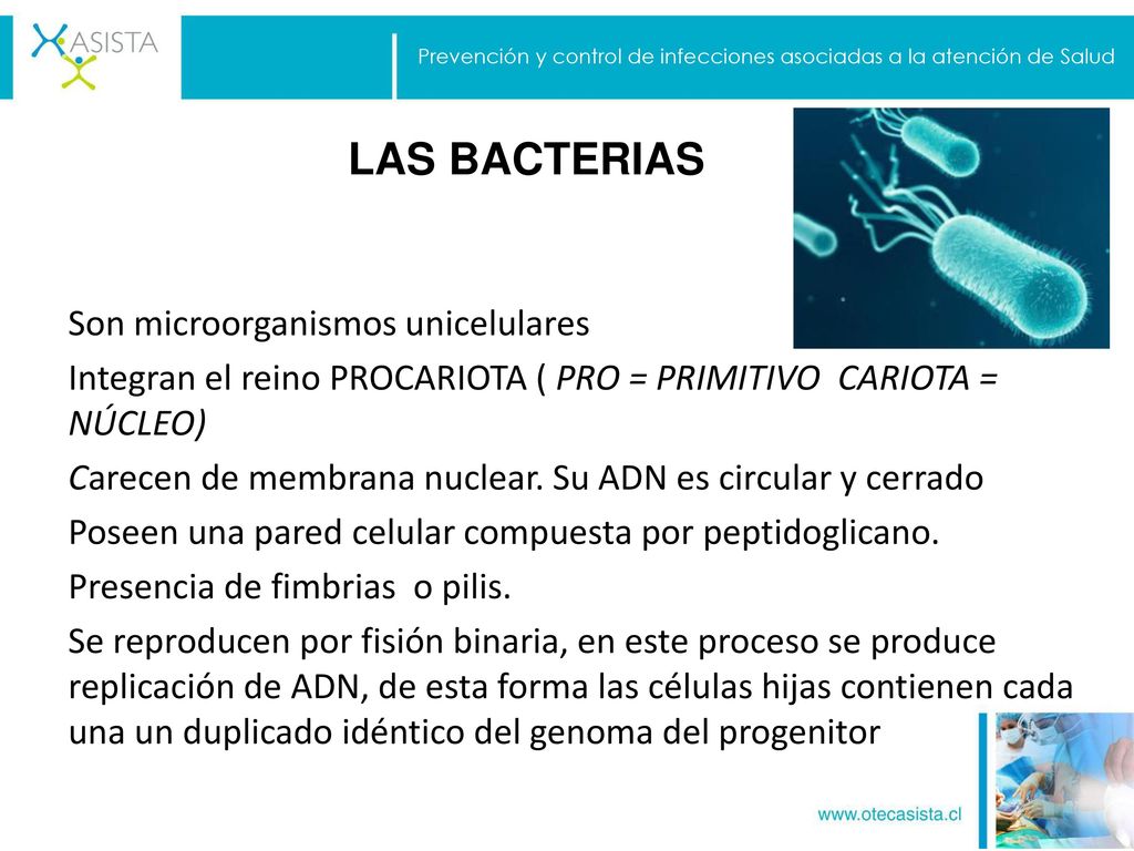 Prevención y control de infecciones asociadas a la atención de Salud