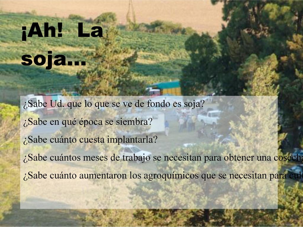 ¡Ah! La soja... ¿Sabe Ud. que lo que se ve de fondo es soja