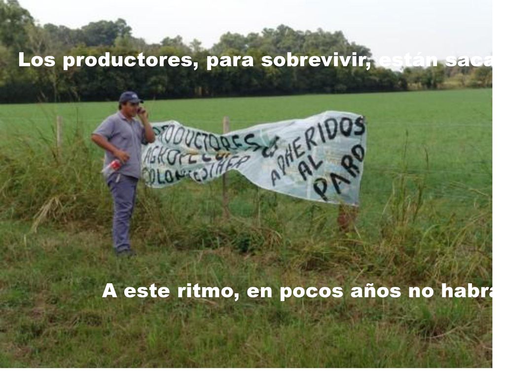 Los productores, para sobrevivir, están sacando dos cosechas anuales al suelo...