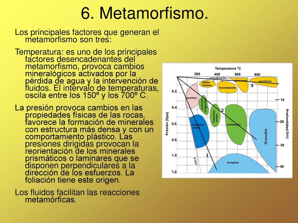 6. Metamorfismo. Los principales factores que generan el metamorfismo son tres: