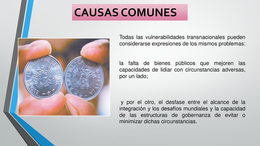 CAUSAS COMUNES Todas las vulnerabilidades transnacionales pueden considerarse expresiones de los mismos problemas: