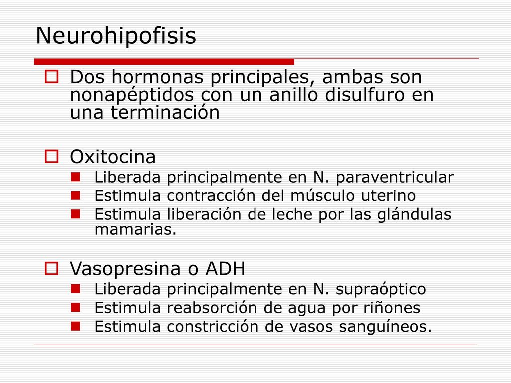Neurohipofisis Dos hormonas principales, ambas son nonapéptidos con un anillo disulfuro en una terminación.