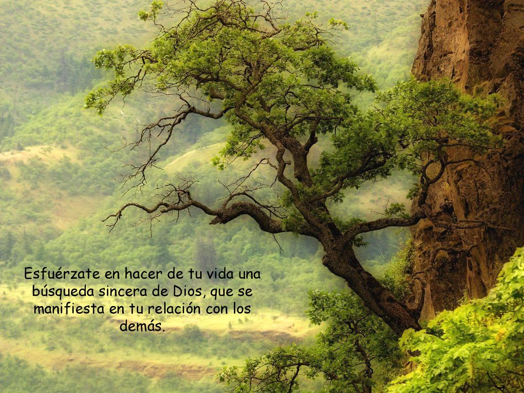 Esfuérzate en hacer de tu vida una búsqueda sincera de Dios, que se manifiesta en tu relación con los demás.