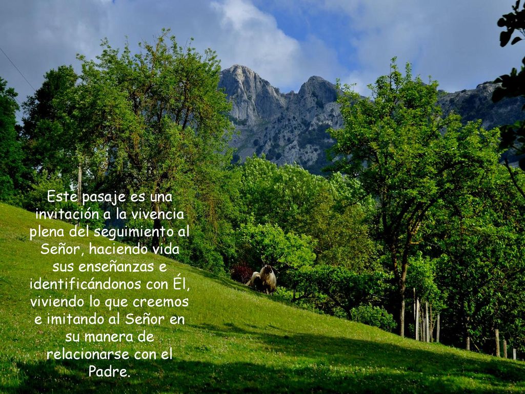 Este pasaje es una invitación a la vivencia plena del seguimiento al Señor, haciendo vida sus enseñanzas e identificándonos con Él, viviendo lo que creemos e imitando al Señor en su manera de relacionarse con el Padre.