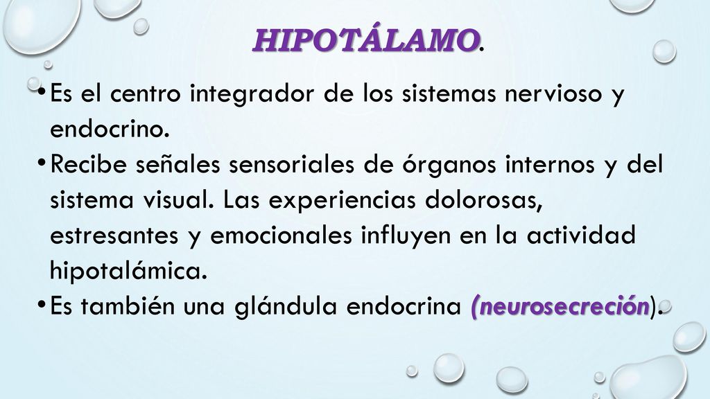 HIPOTÁLAMO. Es el centro integrador de los sistemas nervioso y endocrino.