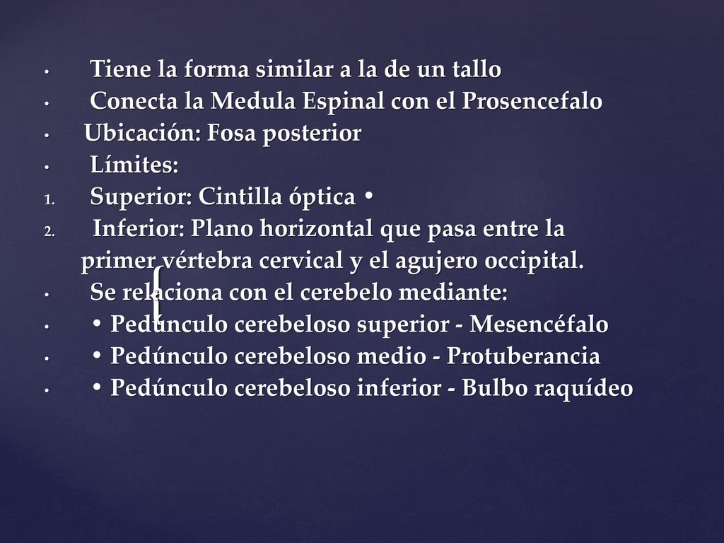 Tiene la forma similar a la de un tallo
