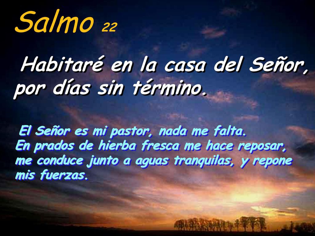 Salmo 22 Habitaré en la casa del Señor, por días sin término.