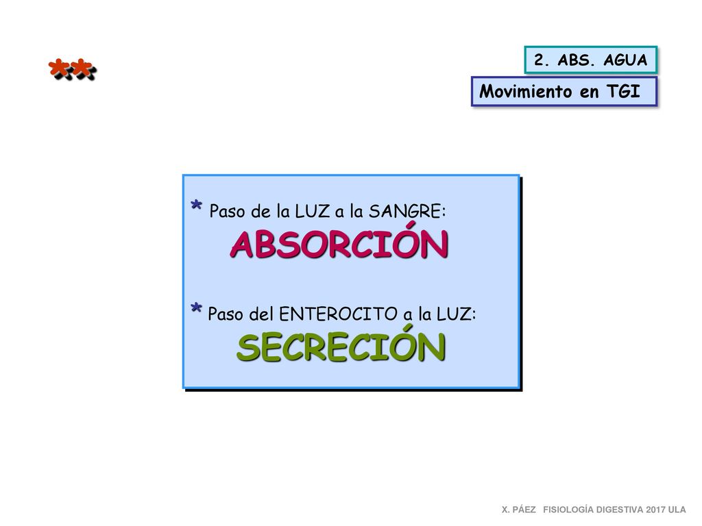 * * * Paso de la LUZ a la SANGRE: * Paso del ENTEROCITO a la LUZ: