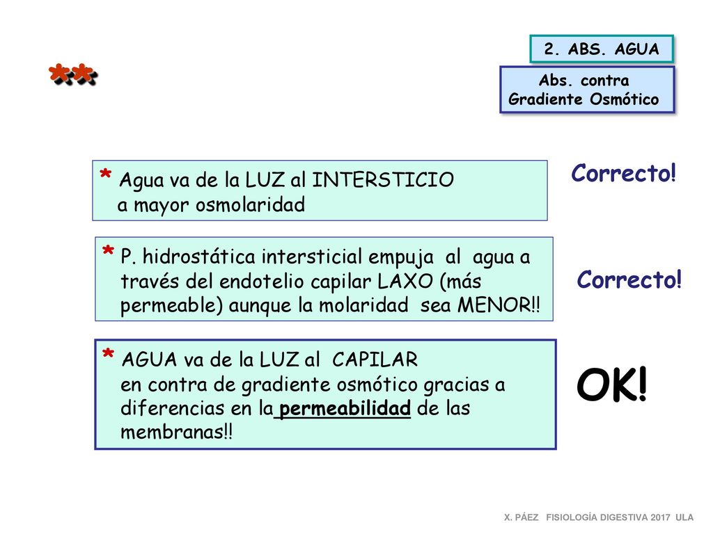 ** OK! Correcto! * Agua va de la LUZ al INTERSTICIO