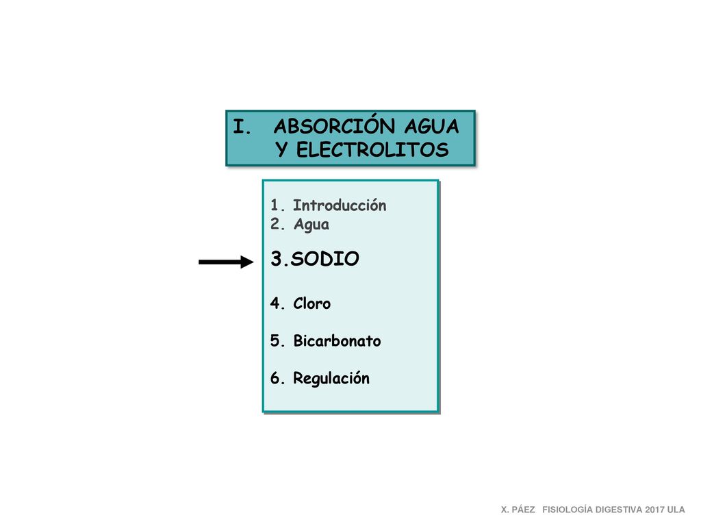 ABSORCIÓN AGUA Y ELECTROLITOS 3.SODIO 1. Introducción 2. Agua 4. Cloro