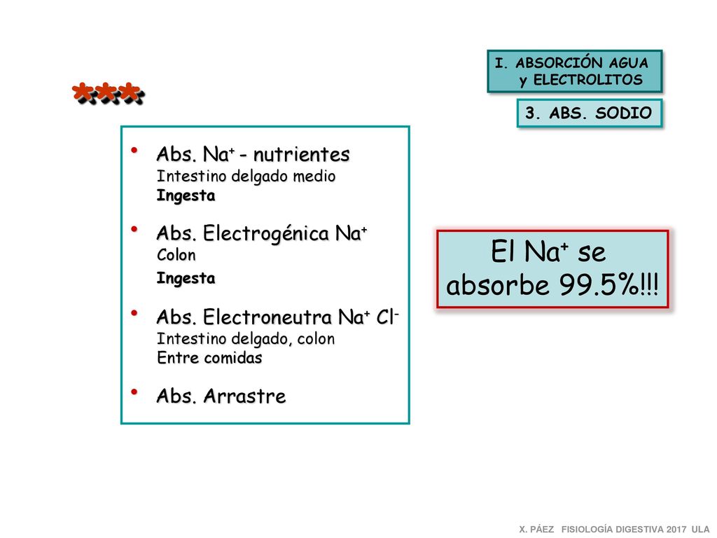 *** El Na+ se absorbe 99.5%!!! Abs. Na+ - nutrientes