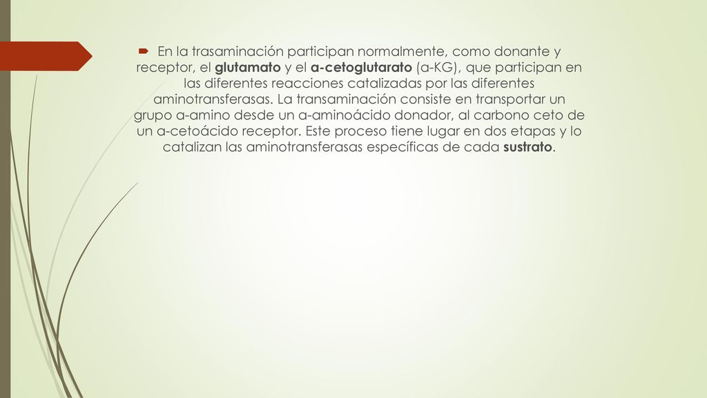 En la trasaminación participan normalmente, como donante y receptor, el glutamato y el α-cetoglutarato (α-KG), que participan en las diferentes reacciones catalizadas por las diferentes aminotransferasas.