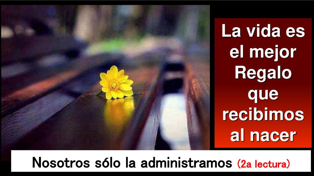 La vida es el mejor Regalo que recibimos al nacer