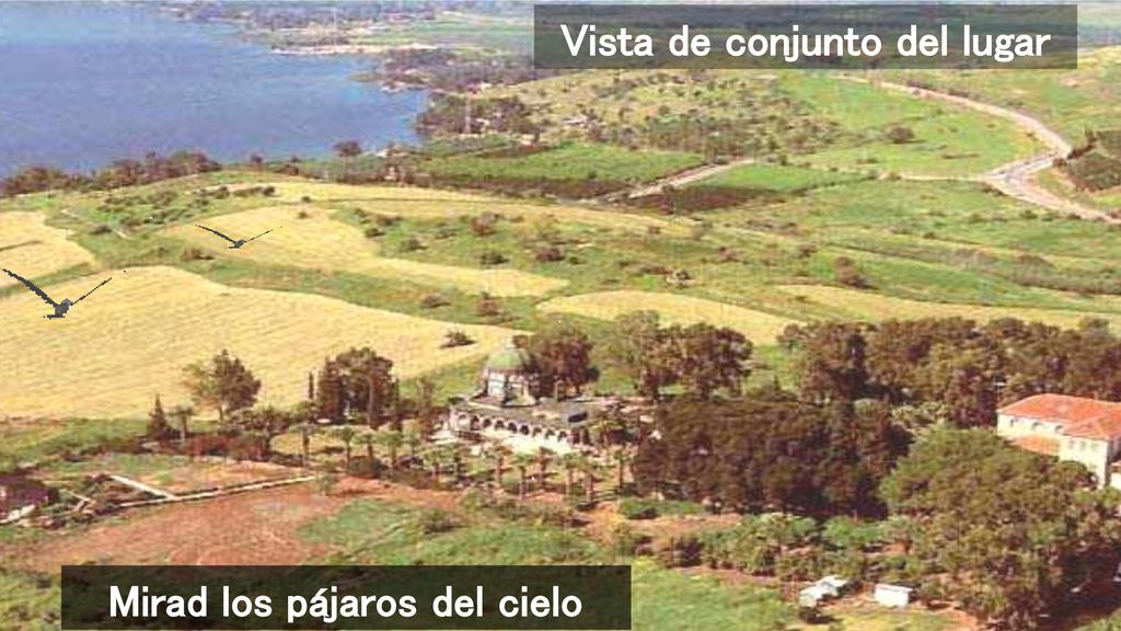 Vista de conjunto del lugar Mirad los pájaros del cielo