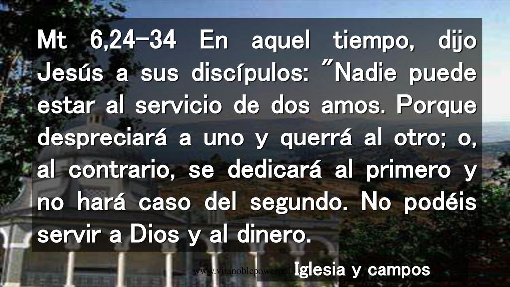 Mt 6,24-34 En aquel tiempo, dijo Jesús a sus discípulos: Nadie puede estar al servicio de dos amos. Porque despreciará a uno y querrá al otro; o, al contrario, se dedicará al primero y no hará caso del segundo. No podéis servir a Dios y al dinero.