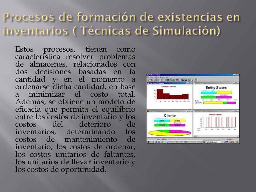 Procesos de formación de existencias en inventarios ( Técnicas de Simulación)