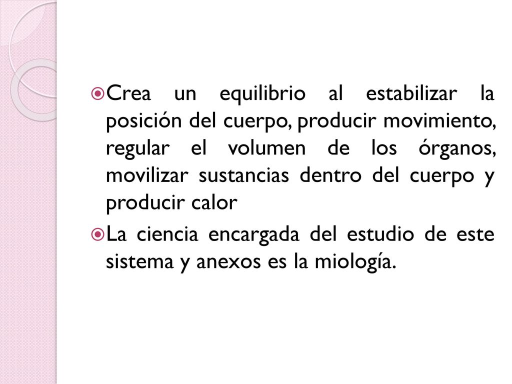 Crea un equilibrio al estabilizar la posición del cuerpo, producir movimiento, regular el volumen de los órganos, movilizar sustancias dentro del cuerpo y producir calor