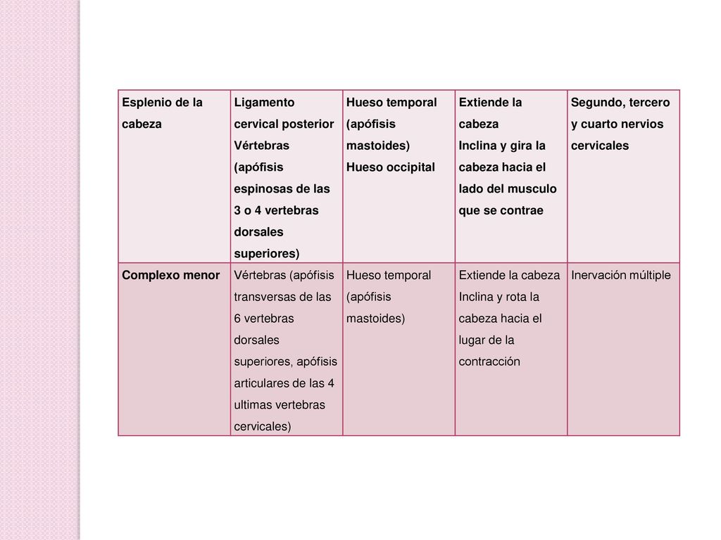 Esplenio de la cabeza Ligamento cervical posterior. Vértebras (apófisis espinosas de las 3 o 4 vertebras dorsales superiores)