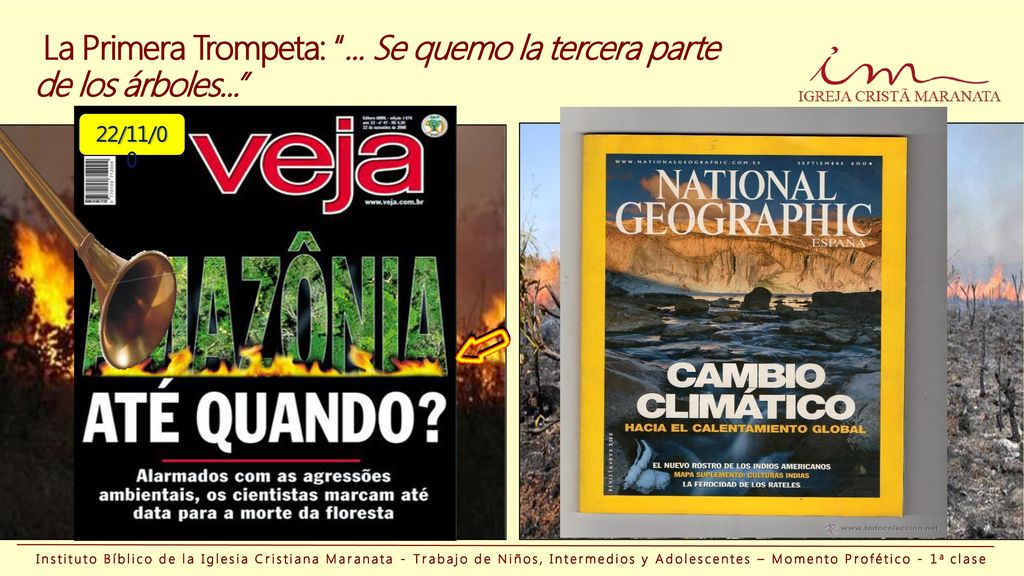 La Primera Trompeta: ... Se quemo la tercera parte de los árboles...