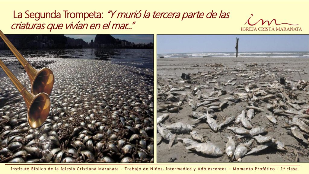 La Segunda Trompeta: Y murió la tercera parte de las criaturas que vivían en el mar...