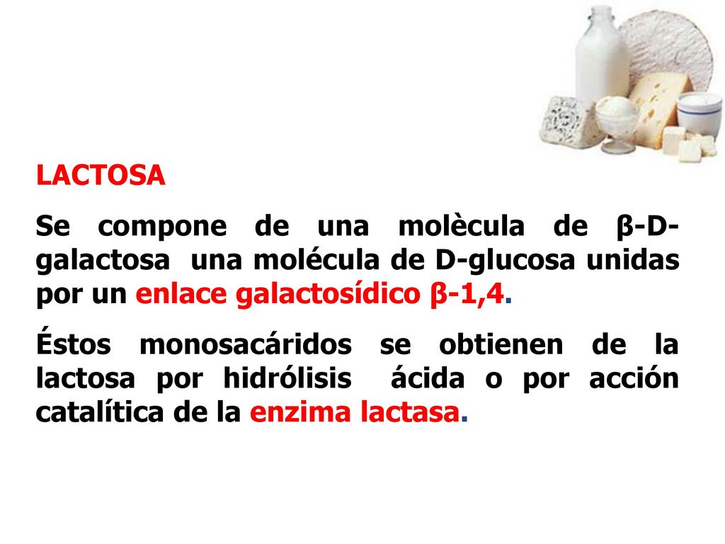 LACTOSA Se compone de una molècula de β-D-galactosa una molécula de D-glucosa unidas por un enlace galactosídico β-1,4.