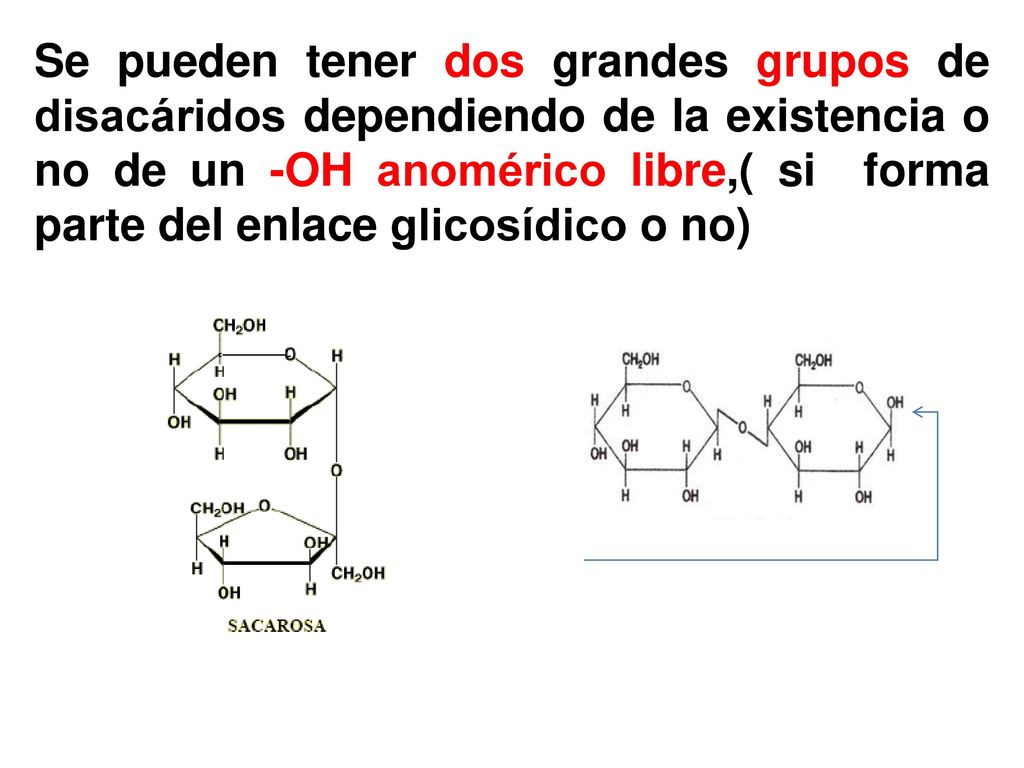 Se pueden tener dos grandes grupos de disacáridos dependiendo de la existencia o no de un -OH anomérico libre,( si forma parte del enlace glicosídico o no)