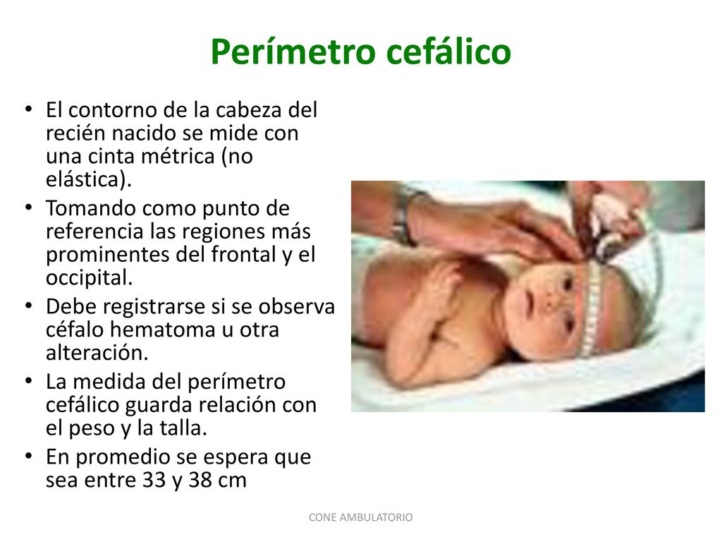 Perímetro cefálico El contorno de la cabeza del recién nacido se mide con una cinta métrica (no elástica).