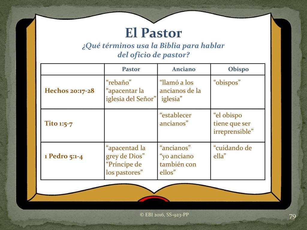 El Pastor ¿Qué términos usa la Biblia para hablar
