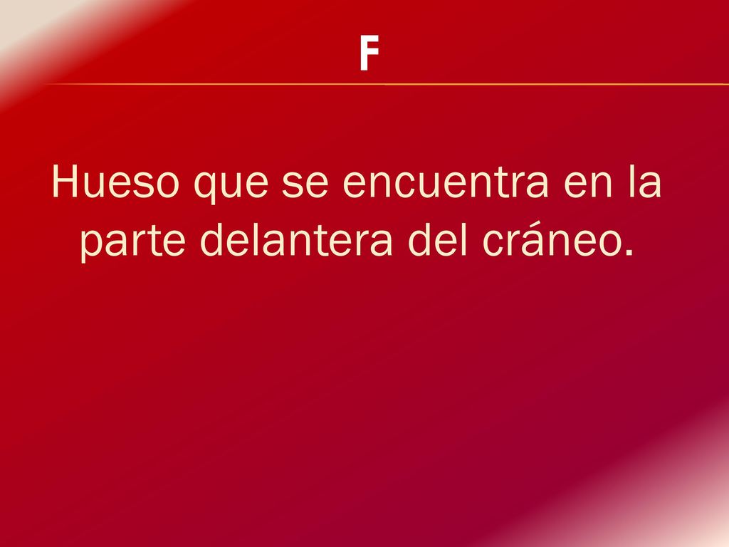 Hueso que se encuentra en la parte delantera del cráneo.