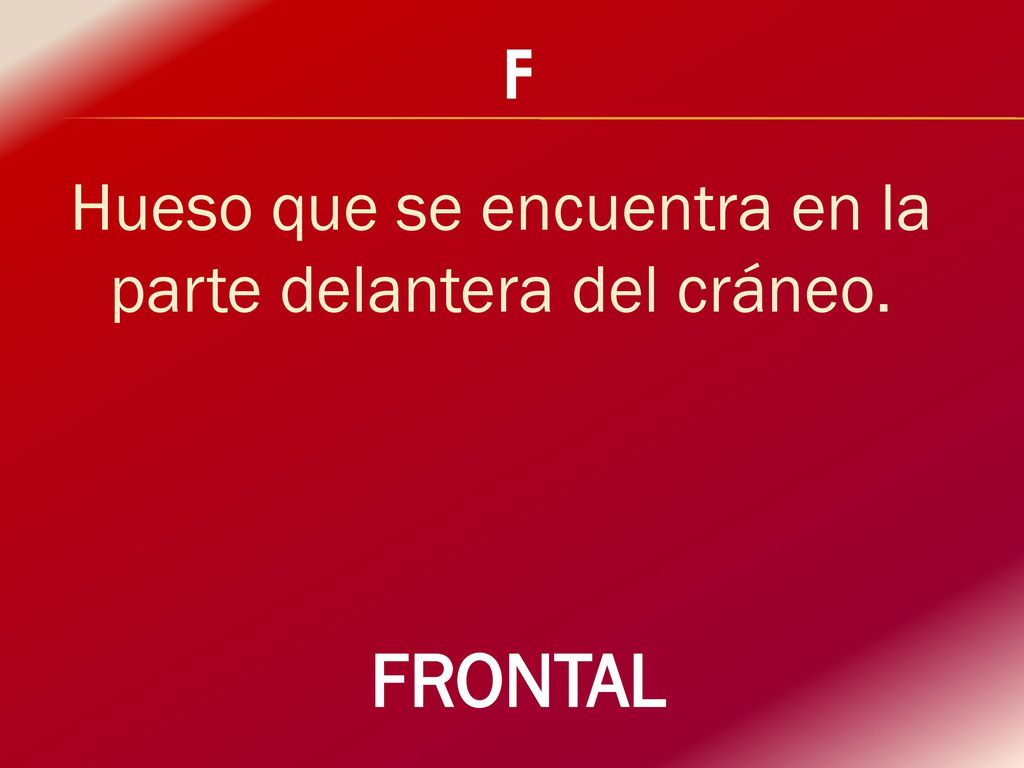 Hueso que se encuentra en la parte delantera del cráneo.