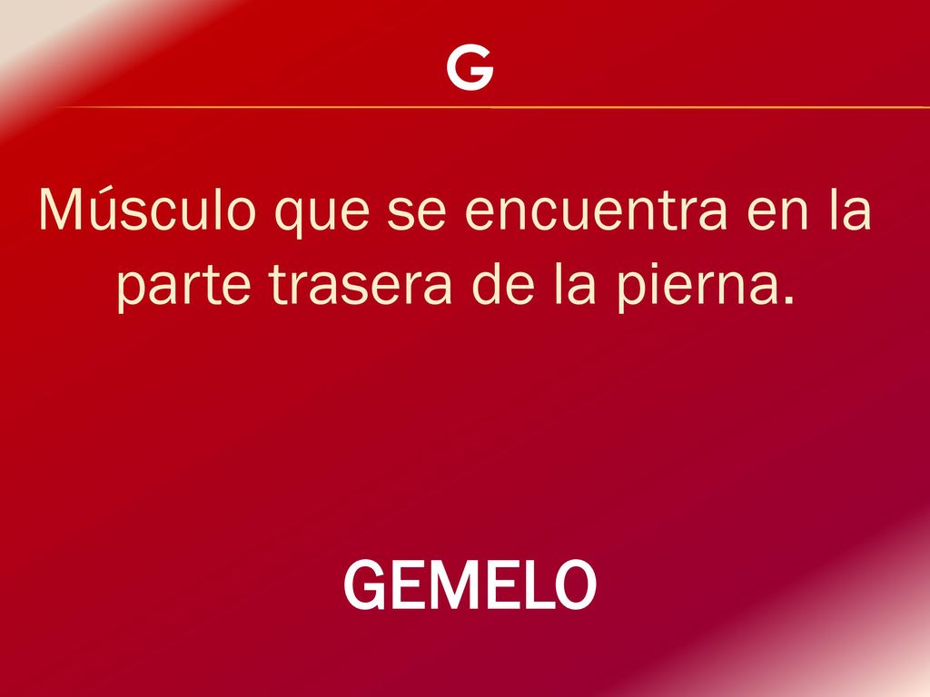 Músculo que se encuentra en la parte trasera de la pierna.