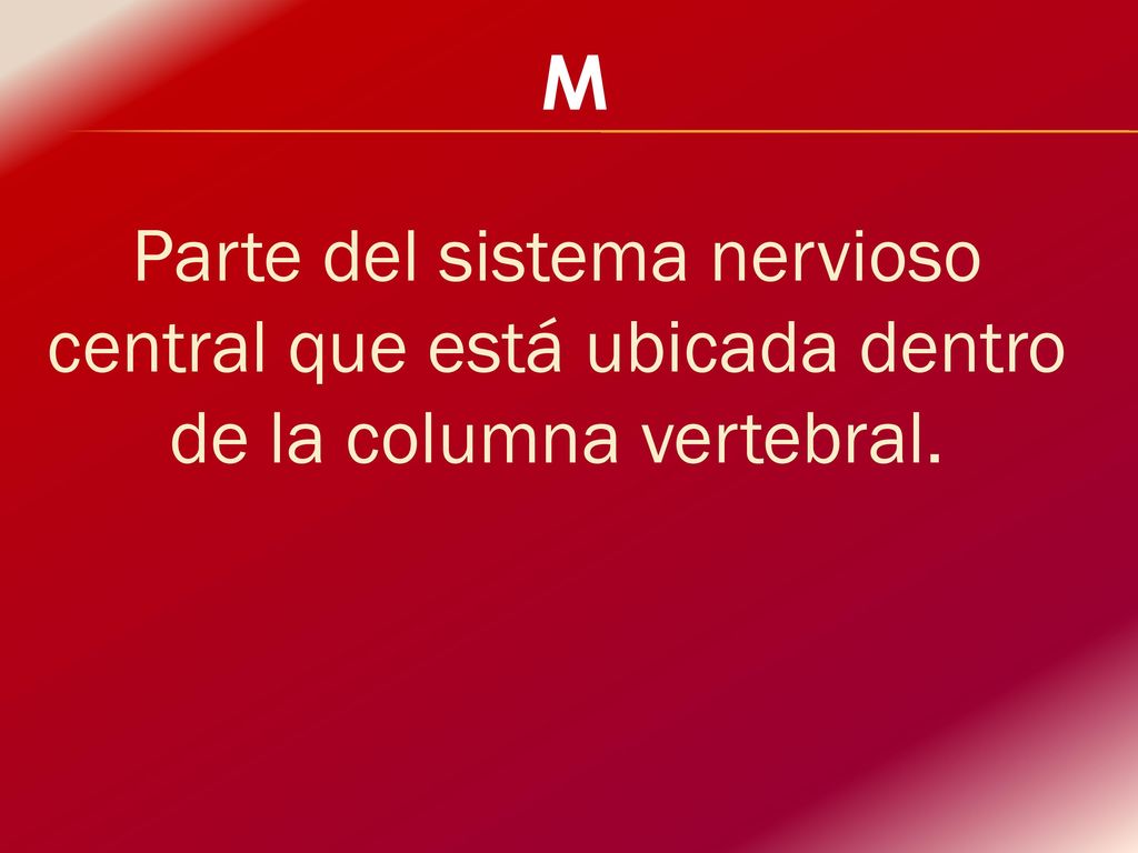 M Parte del sistema nervioso central que está ubicada dentro de la columna vertebral.