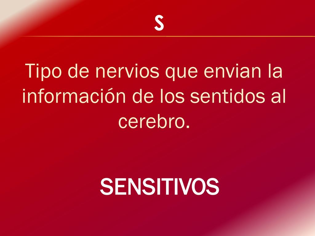 Tipo de nervios que envian la información de los sentidos al cerebro.