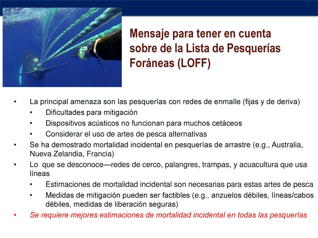 Mensaje para tener en cuenta sobre de la Lista de Pesquerías Foráneas (LOFF)