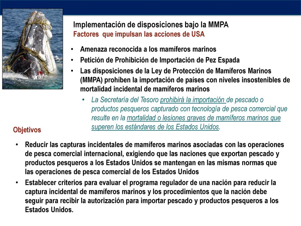Implementación de disposiciones bajo la MMPA Factores que impulsan las acciones de USA