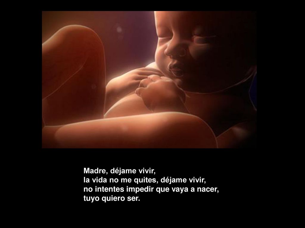 Madre, déjame vivir, la vida no me quites, déjame vivir, no intentes impedir que vaya a nacer, tuyo quiero ser.