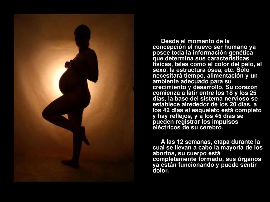 Desde el momento de la concepción el nuevo ser humano ya posee toda la información genética que determina sus características físicas, tales como el color del pelo, el sexo, la estructura ósea, etc. Sólo necesitará tiempo, alimentación y un ambiente adecuado para su crecimiento y desarrollo. Su corazón comienza a latir entre los 18 y los 25 días, la base del sistema nervioso se establece alrededor de los 20 días, a los 42 días el esqueleto está completo y hay reflejos, y a los 45 días se pueden registrar los impulsos eléctricos de su cerebro.