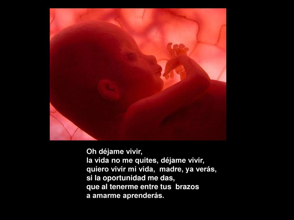 Oh déjame vivir, la vida no me quites, déjame vivir, quiero vivir mi vida, madre, ya verás, si la oportunidad me das,