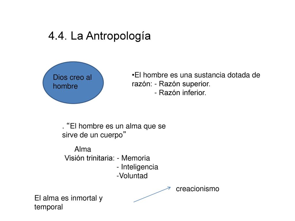 4.4. La Antropología El hombre es una sustancia dotada de razón: - Razón superior. - Razón inferior.